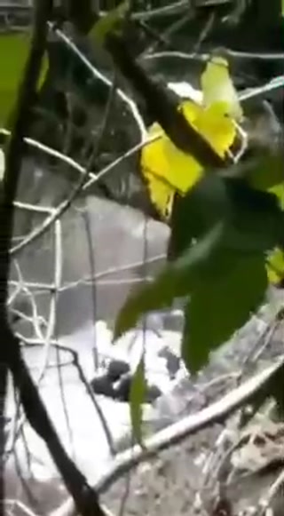 Ngintip orang bermesraan diatas batu - DoodStream